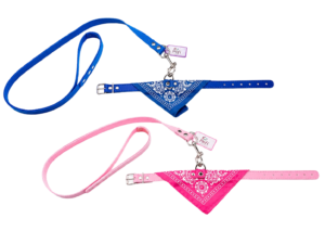 Correa + Collar con Pañuelo para Perro Talle S
