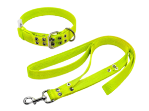 Collar + Correa para Perro - Talle L