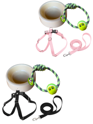 Kit Adopción Perro Grande – Paseo y Juego