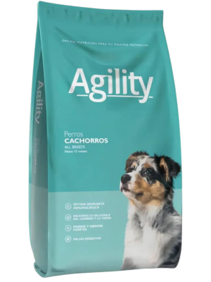 Agility Cachorros All Breeds