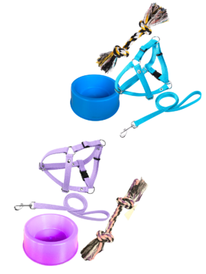 Kit Adopción Perro Pequeño – Paseo y Juego