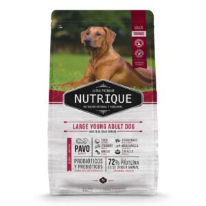 Nutrique Large Young Adult Dog
