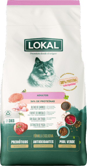 LOKAL Gatos Adultos