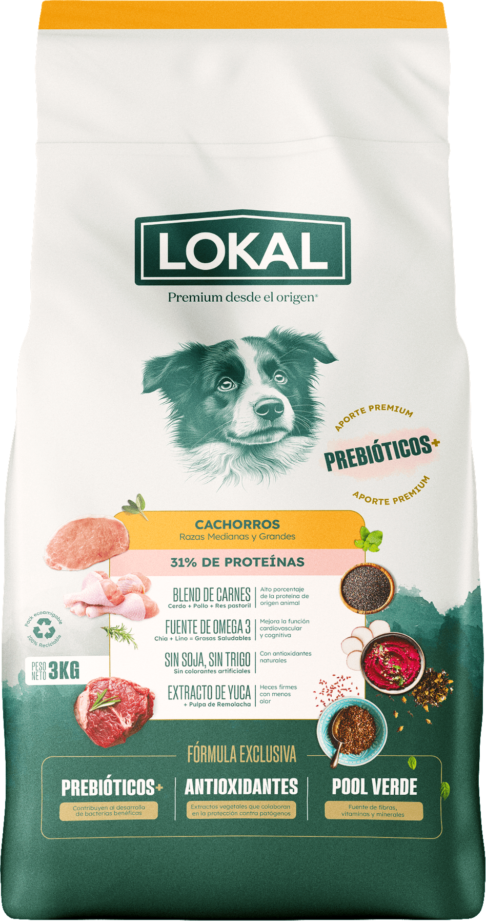 LOKAL Cachorros Razas Medianas y Grandes